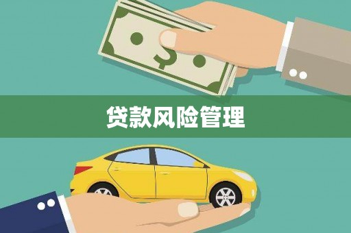 丰城贷款风险管理