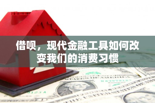 丰城借呗，现代金融工具如何改变我们的消费习惯