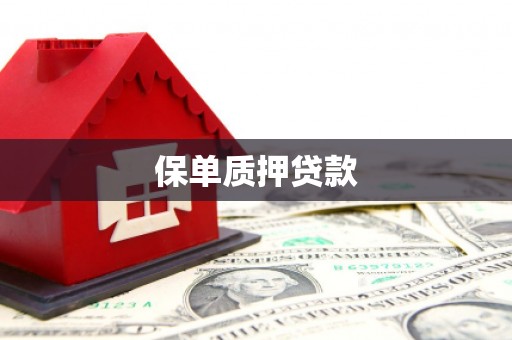 丰城保单质押贷款