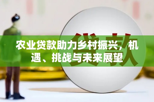 丰城农业贷款助力乡村振兴，机遇、挑战与未来展望