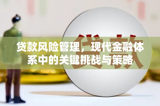 丰城贷款风险管理，现代金融体系中的关键挑战与策略
