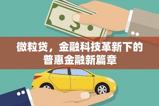 丰城微粒贷，金融科技革新下的普惠金融新篇章