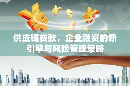 丰城供应链贷款，企业融资的新引擎与风险管理策略