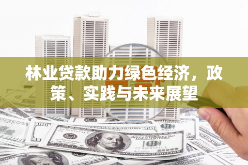 丰城林业贷款助力绿色经济，政策、实践与未来展望