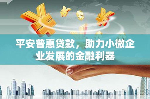 丰城平安普惠贷款，助力小微企业发展的金融利器