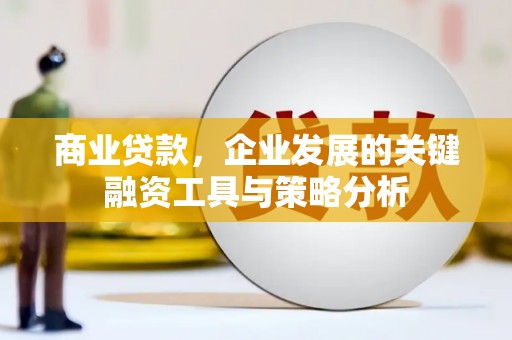 丰城商业贷款，企业发展的关键融资工具与策略分析