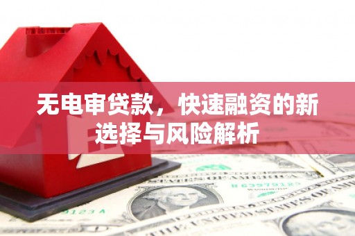 丰城无电审贷款，快速融资的新选择与风险解析