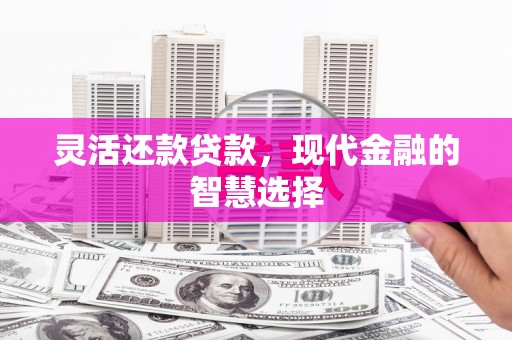 丰城灵活还款贷款，现代金融的智慧选择