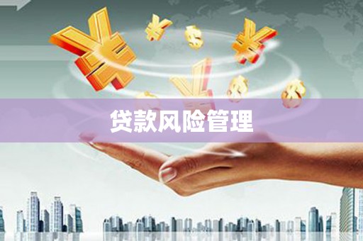 丰城贷款风险管理