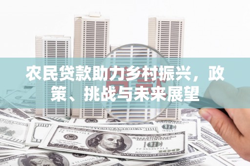丰城农民贷款助力乡村振兴，政策、挑战与未来展望