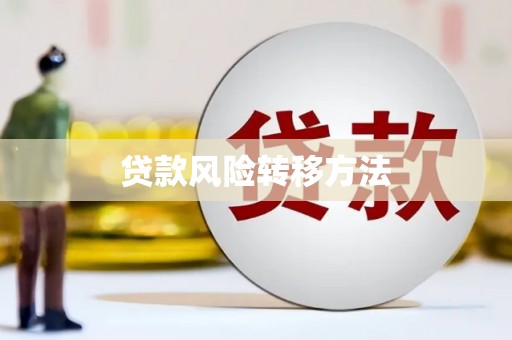 丰城贷款风险转移方法