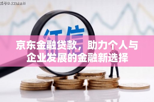 丰城京东金融贷款，助力个人与企业发展的金融新选择