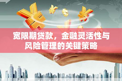 丰城宽限期贷款，金融灵活性与风险管理的关键策略