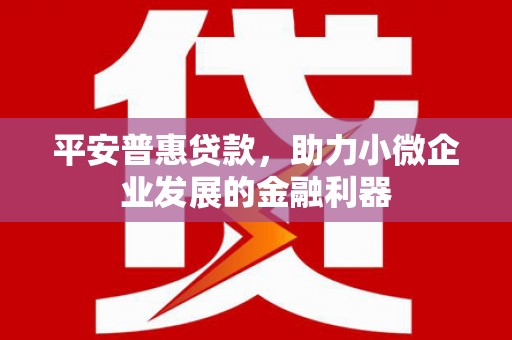 丰城平安普惠贷款，助力小微企业发展的金融利器