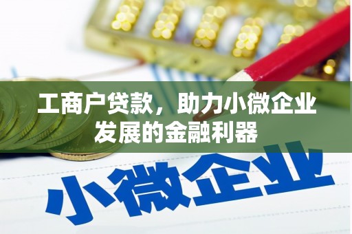 丰城工商户贷款，助力小微企业发展的金融利器