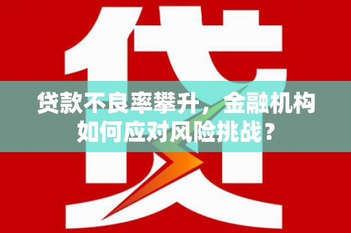 丰城贷款不良率攀升，金融机构如何应对风险挑战？