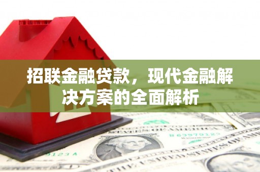 丰城招联金融贷款，现代金融解决方案的全面解析