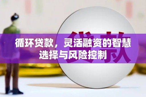 丰城循环贷款，灵活融资的智慧选择与风险控制