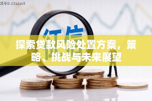 丰城探索贷款风险处置方案，策略、挑战与未来展望