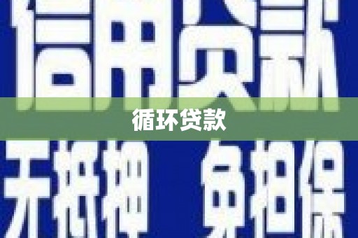 丰城循环贷款