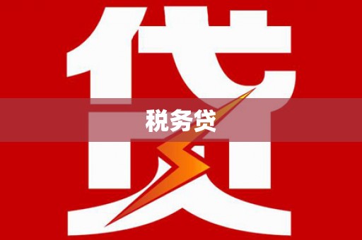 丰城税务贷