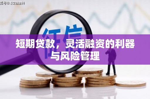 丰城短期贷款，灵活融资的利器与风险管理
