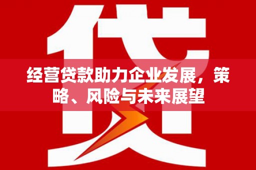 丰城经营贷款助力企业发展，策略、风险与未来展望