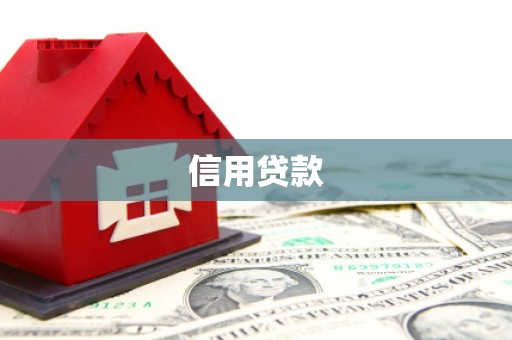 丰城信用贷款