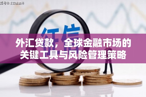 丰城外汇贷款，全球金融市场的关键工具与风险管理策略