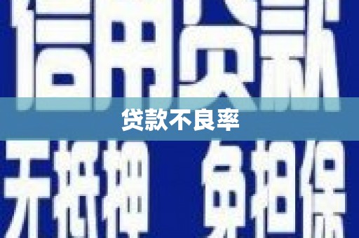 丰城贷款不良率