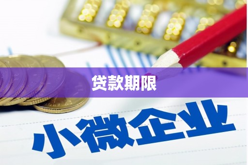 丰城贷款期限