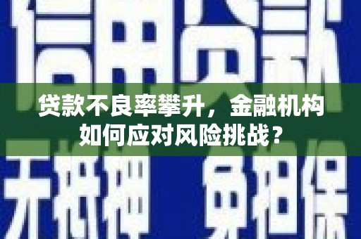 丰城贷款不良率攀升，金融机构如何应对风险挑战？