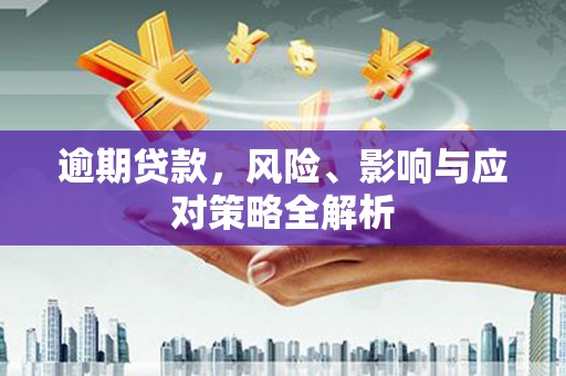丰城逾期贷款，风险、影响与应对策略全解析
