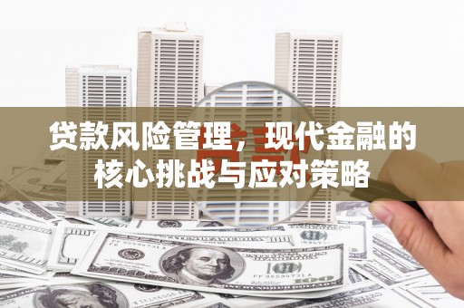 丰城贷款风险管理，现代金融的核心挑战与应对策略