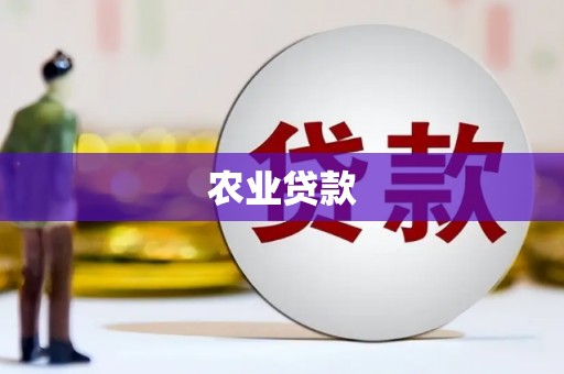 丰城农业贷款