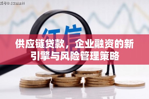 丰城供应链贷款，企业融资的新引擎与风险管理策略