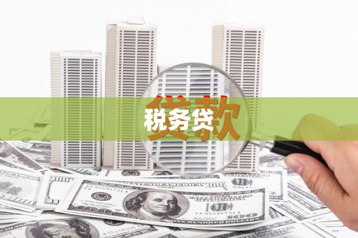 丰城税务贷
