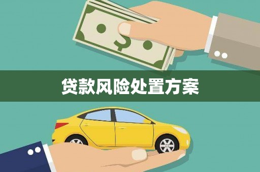 丰城贷款风险处置方案