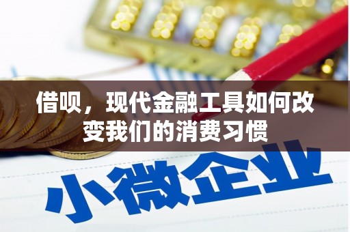 丰城借呗，现代金融工具如何改变我们的消费习惯