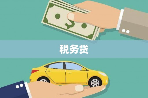 丰城税务贷