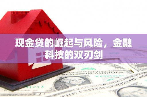 丰城现金贷的崛起与风险，金融科技的双刃剑