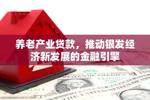 丰城养老产业贷款，推动银发经济新发展的金融引擎