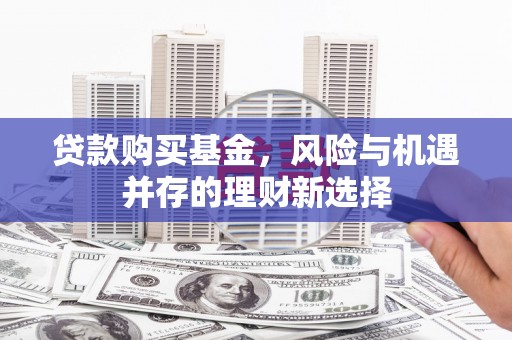 丰城贷款购买基金，风险与机遇并存的理财新选择