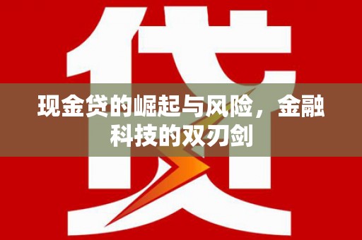 丰城现金贷的崛起与风险，金融科技的双刃剑