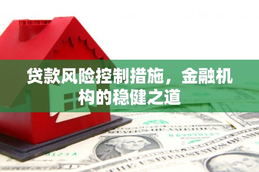 丰城贷款风险控制措施，金融机构的稳健之道