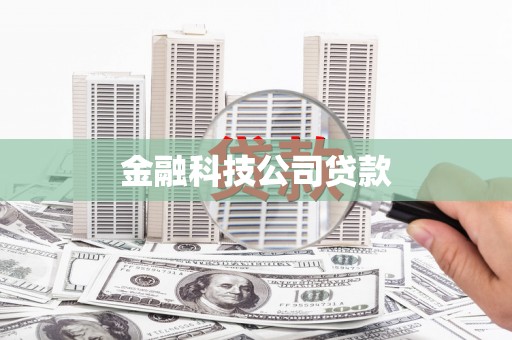 丰城金融科技公司贷款