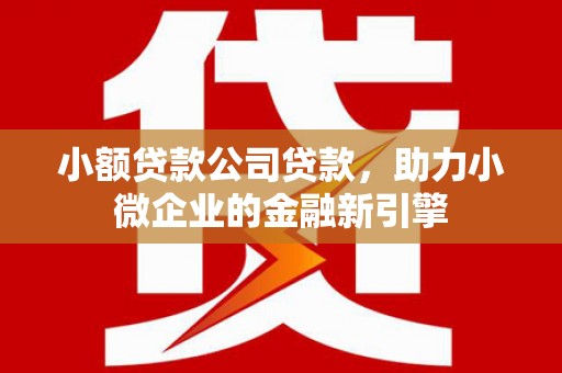 丰城小额贷款公司贷款，助力小微企业的金融新引擎
