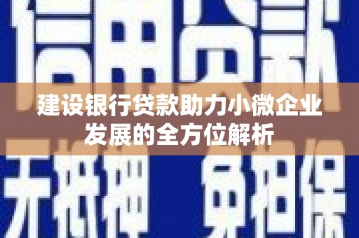 丰城建设银行贷款助力小微企业发展的全方位解析