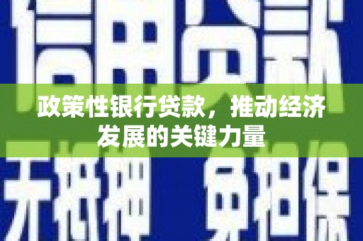丰城政策性银行贷款，推动经济发展的关键力量