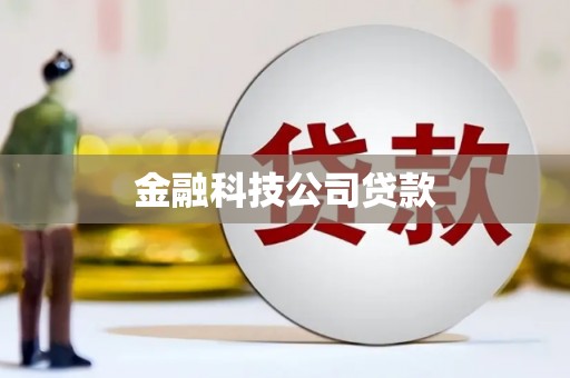 丰城金融科技公司贷款